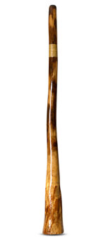 Peter Sherwood Didgeridoo (NV102)